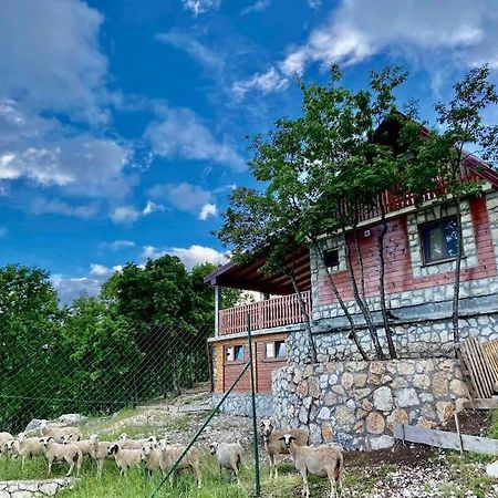 Mountain Village House Cetinje Exterior foto